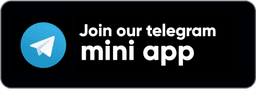Mini App